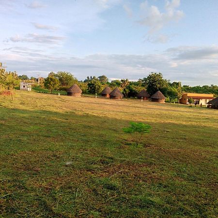 Grassroots Cottages Murchsion Falls Purongo المظهر الخارجي الصورة