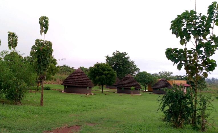 Grassroots Cottages Murchsion Falls Purongo المظهر الخارجي الصورة