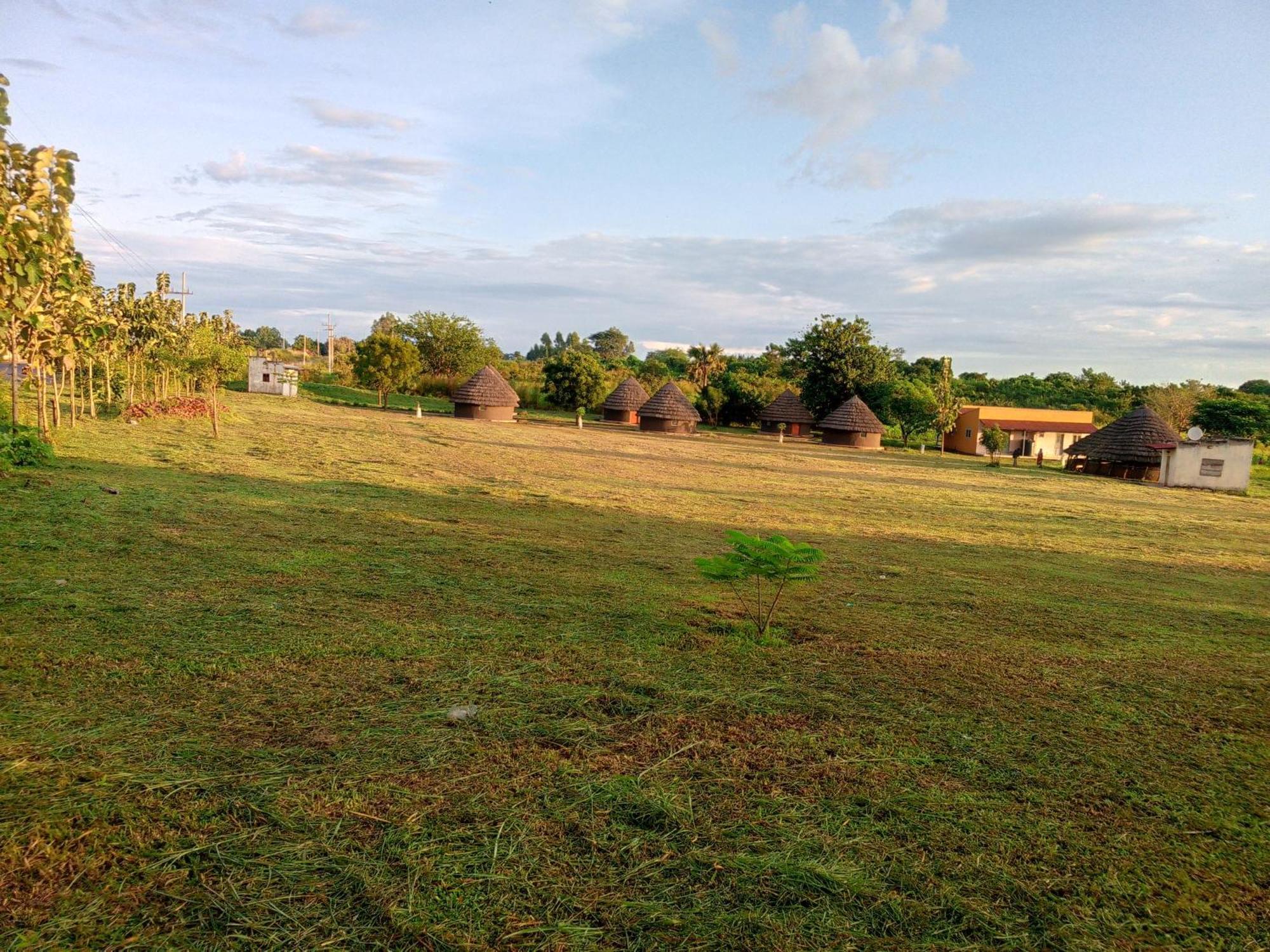 Grassroots Cottages Murchsion Falls Purongo المظهر الخارجي الصورة